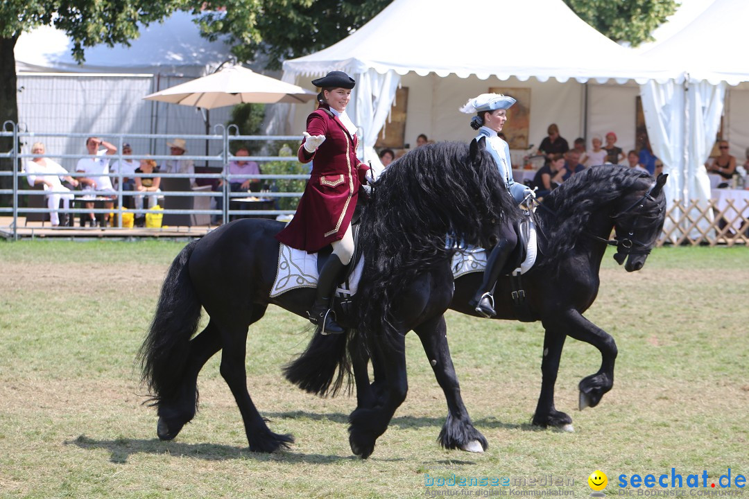 eurocheval - Europamesse des Pferdes - seechat: Offenburg, 27.07.2014