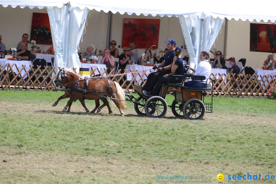 eurocheval - Europamesse des Pferdes - seechat: Offenburg, 27.07.2014