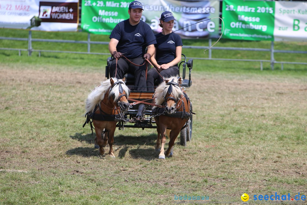 eurocheval - Europamesse des Pferdes - seechat: Offenburg, 27.07.2014