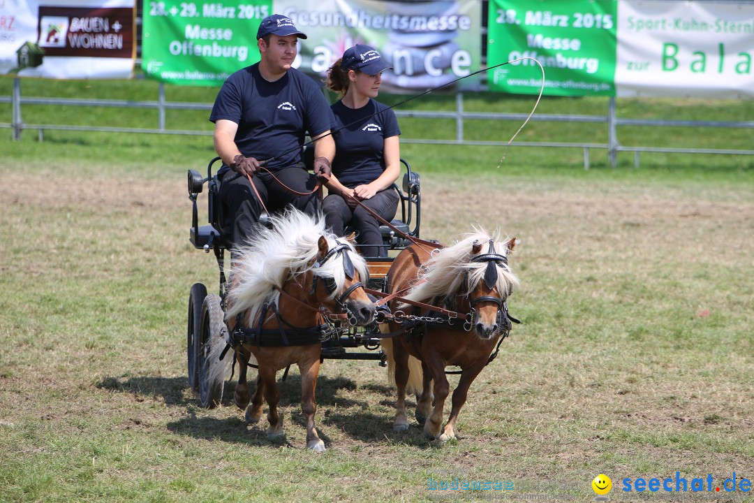 eurocheval - Europamesse des Pferdes - seechat: Offenburg, 27.07.2014