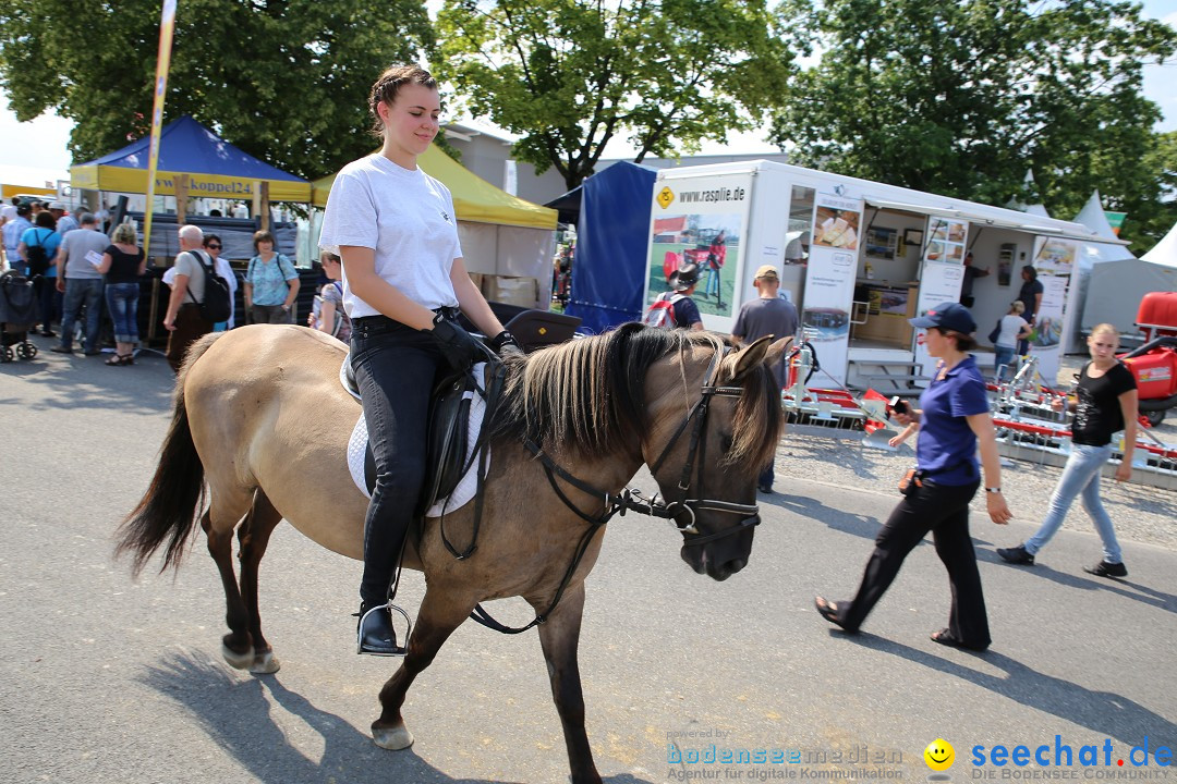 eurocheval - Europamesse des Pferdes - seechat: Offenburg, 27.07.2014