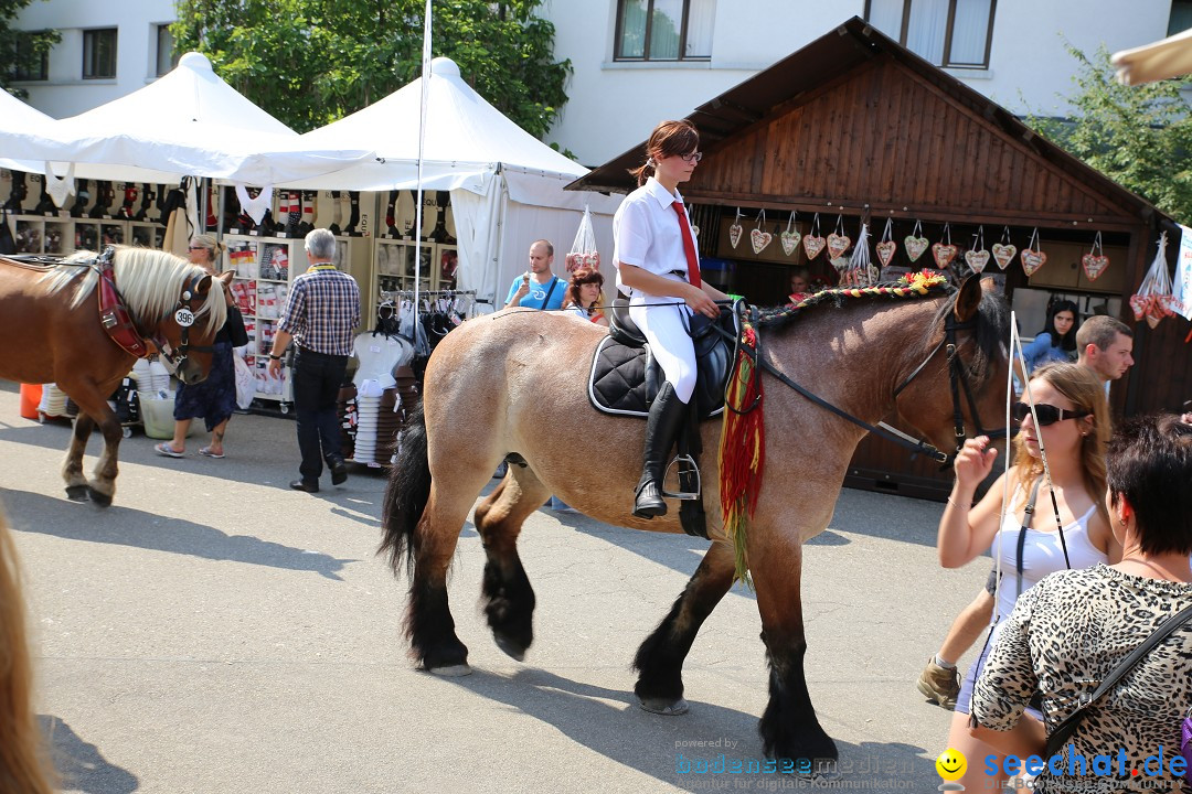 eurocheval - Europamesse des Pferdes - seechat: Offenburg, 27.07.2014