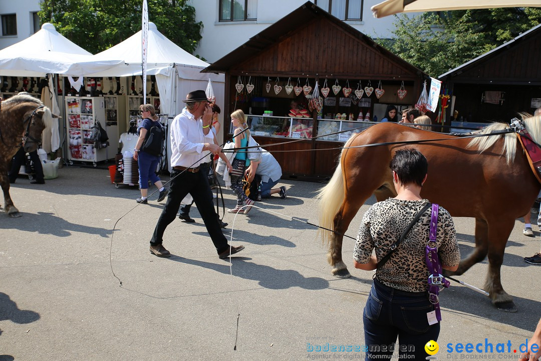 eurocheval - Europamesse des Pferdes - seechat: Offenburg, 27.07.2014