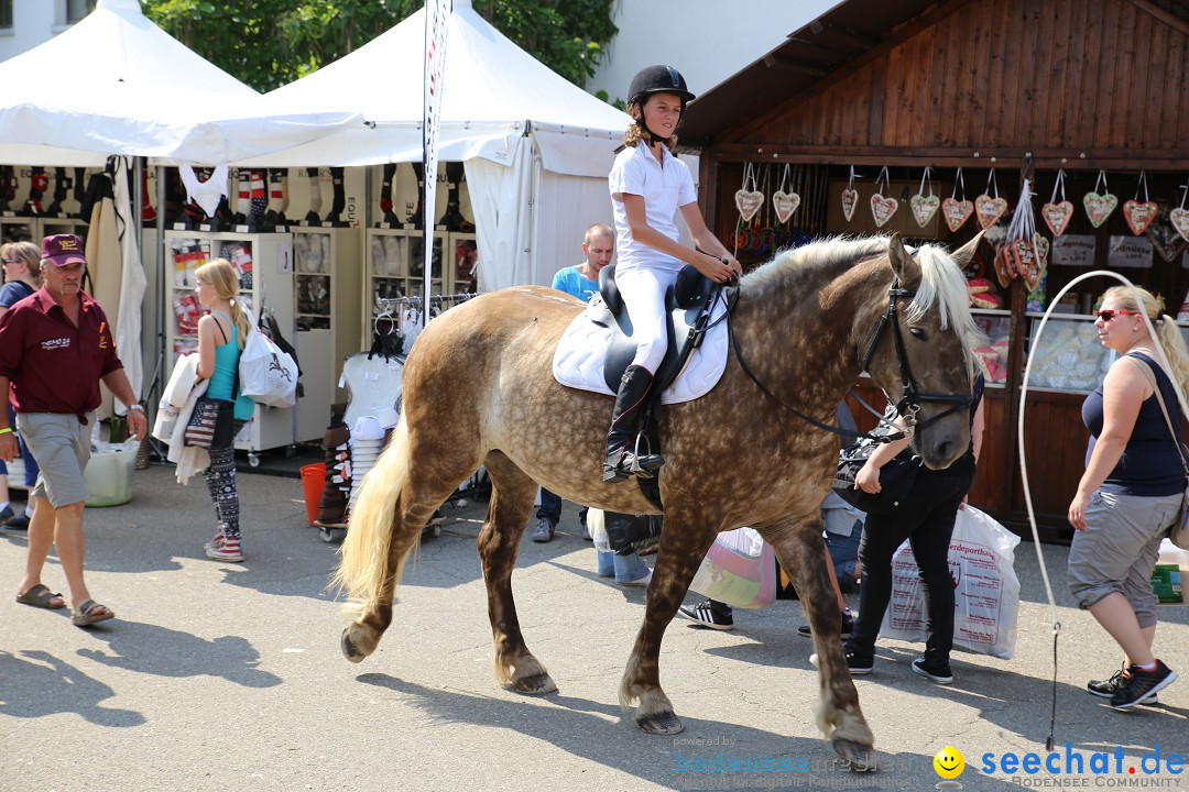 eurocheval - Europamesse des Pferdes - seechat: Offenburg, 27.07.2014