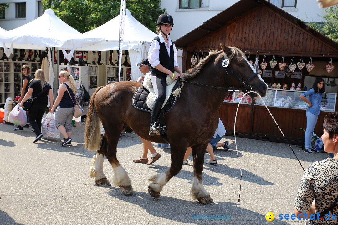 eurocheval - Europamesse des Pferdes - seechat: Offenburg, 27.07.2014