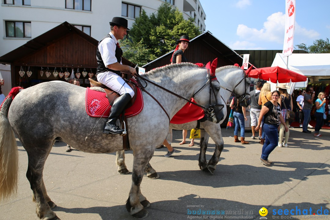 eurocheval - Europamesse des Pferdes - seechat: Offenburg, 27.07.2014