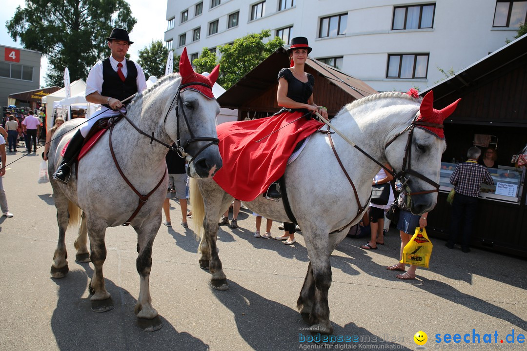 eurocheval - Europamesse des Pferdes - seechat: Offenburg, 27.07.2014