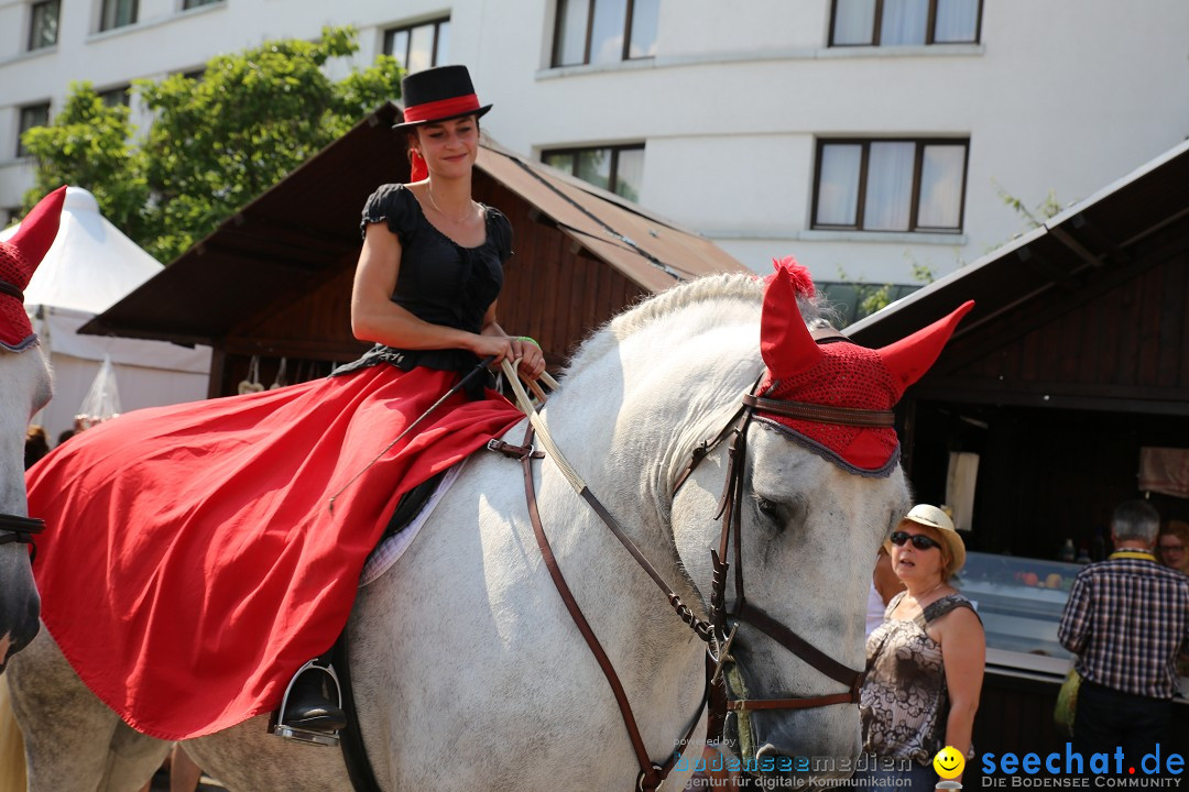 eurocheval - Europamesse des Pferdes - seechat: Offenburg, 27.07.2014