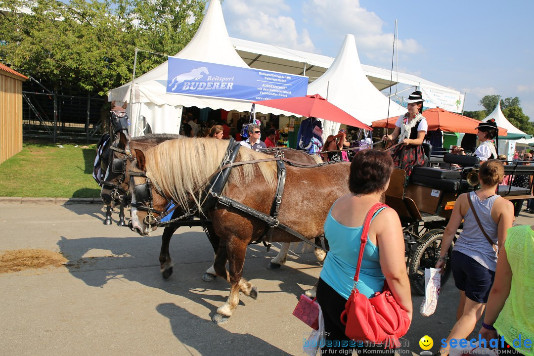 eurocheval - Europamesse des Pferdes - seechat: Offenburg, 27.07.2014