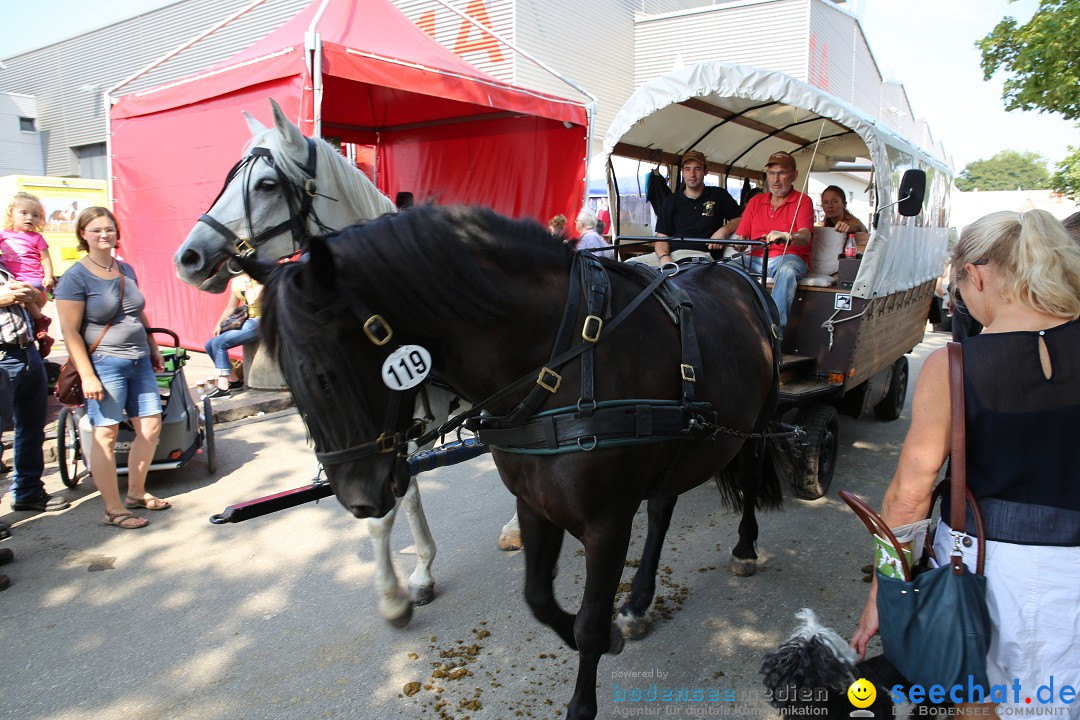 eurocheval - Europamesse des Pferdes - seechat: Offenburg, 27.07.2014