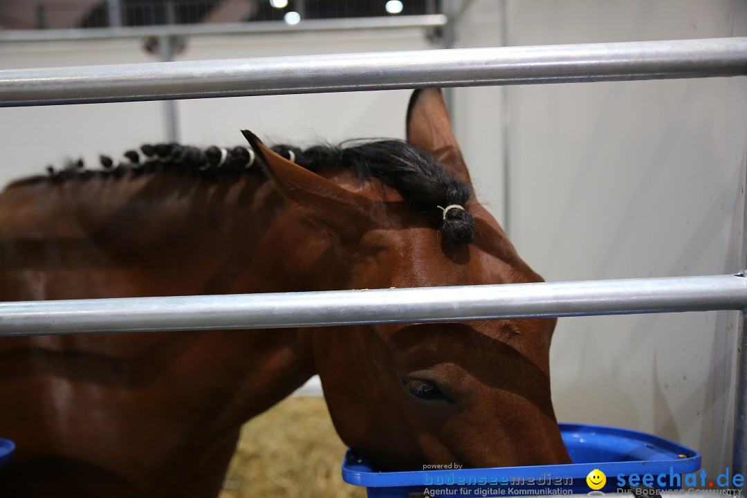 eurocheval - Europamesse des Pferdes - seechat: Offenburg, 27.07.2014