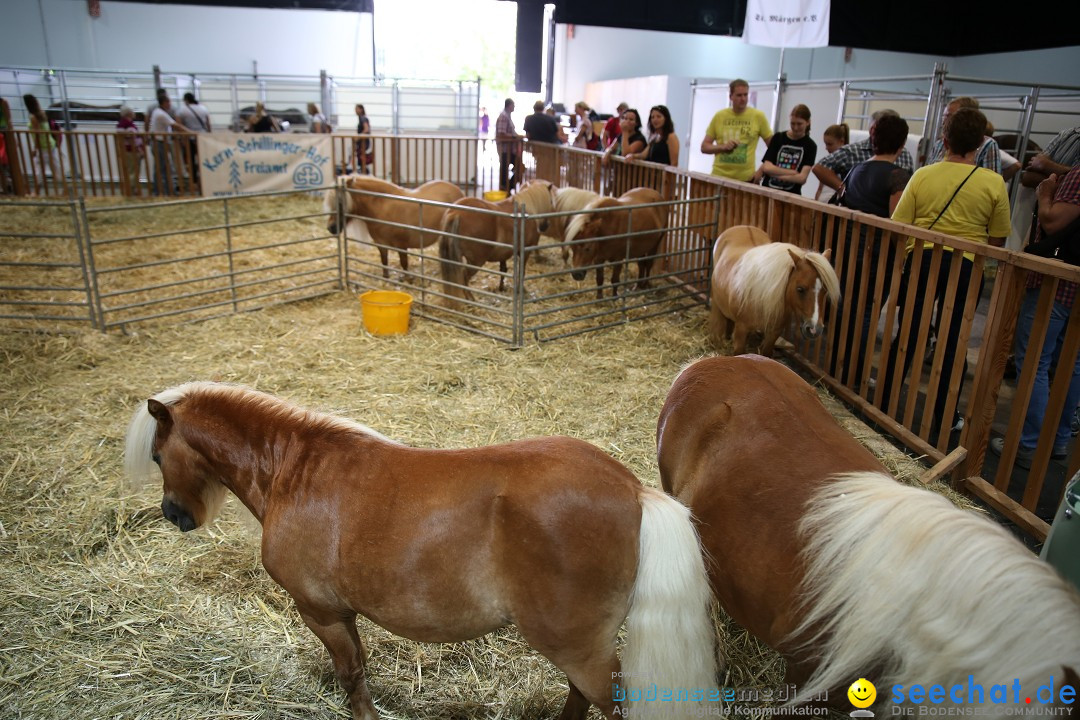 eurocheval - Europamesse des Pferdes - seechat: Offenburg, 27.07.2014