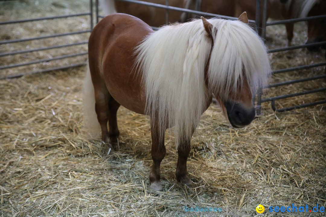 eurocheval - Europamesse des Pferdes - seechat: Offenburg, 27.07.2014