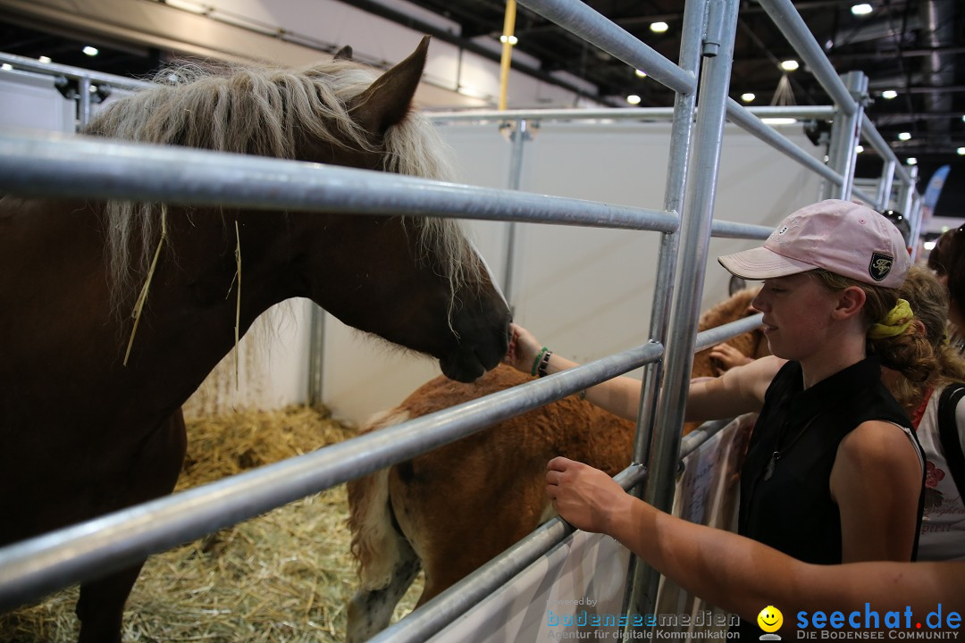 eurocheval - Europamesse des Pferdes - seechat: Offenburg, 27.07.2014