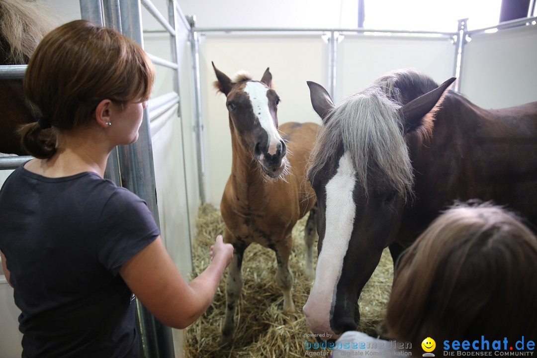 eurocheval - Europamesse des Pferdes - seechat: Offenburg, 27.07.2014