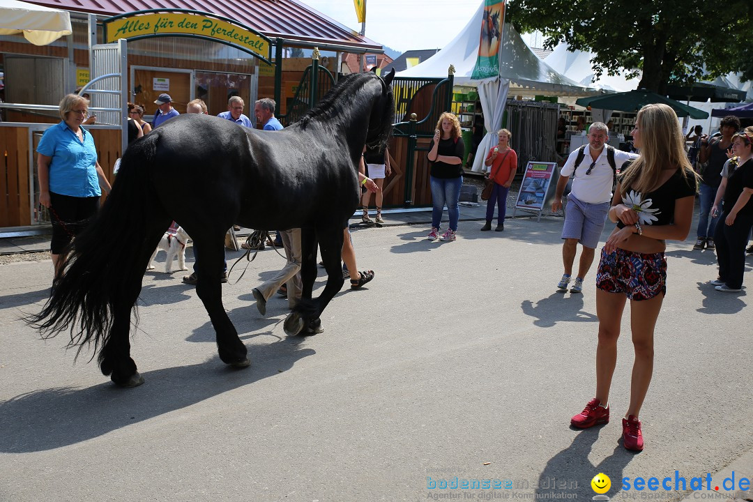 eurocheval - Europamesse des Pferdes - seechat: Offenburg, 27.07.2014