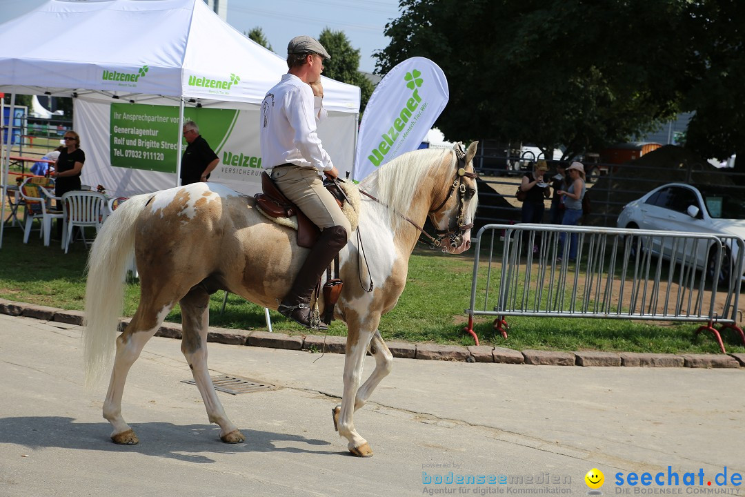 eurocheval - Europamesse des Pferdes - seechat: Offenburg, 27.07.2014