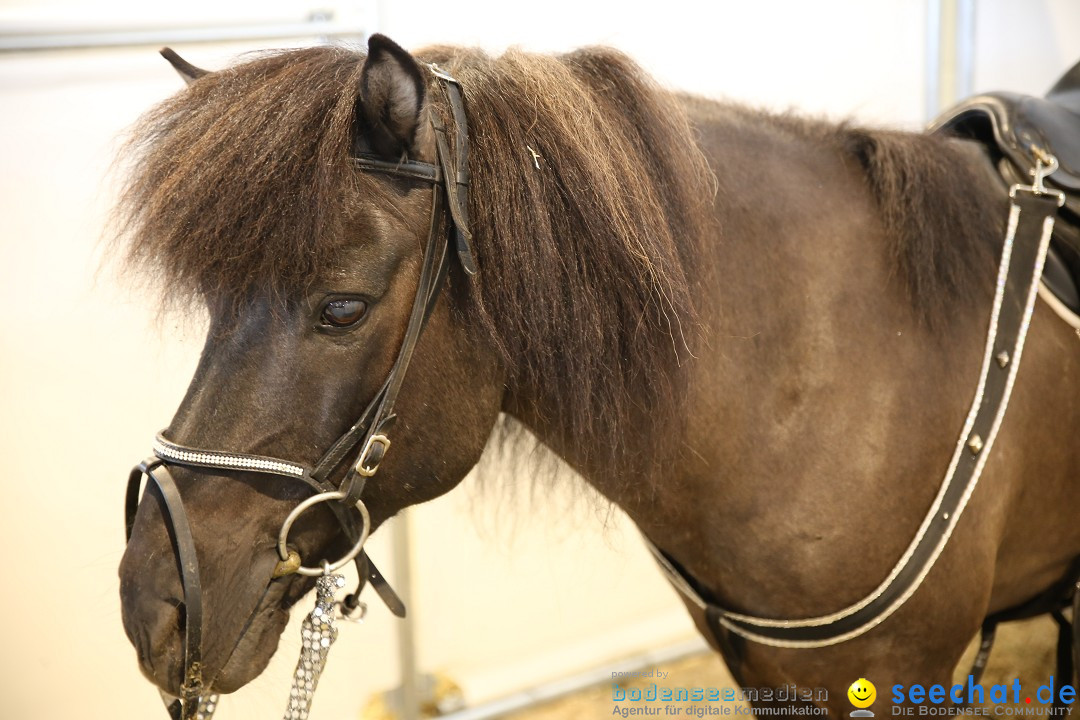 eurocheval - Europamesse des Pferdes - seechat: Offenburg, 27.07.2014