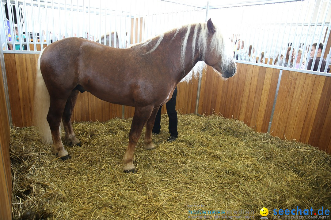 eurocheval - Europamesse des Pferdes - seechat: Offenburg, 27.07.2014