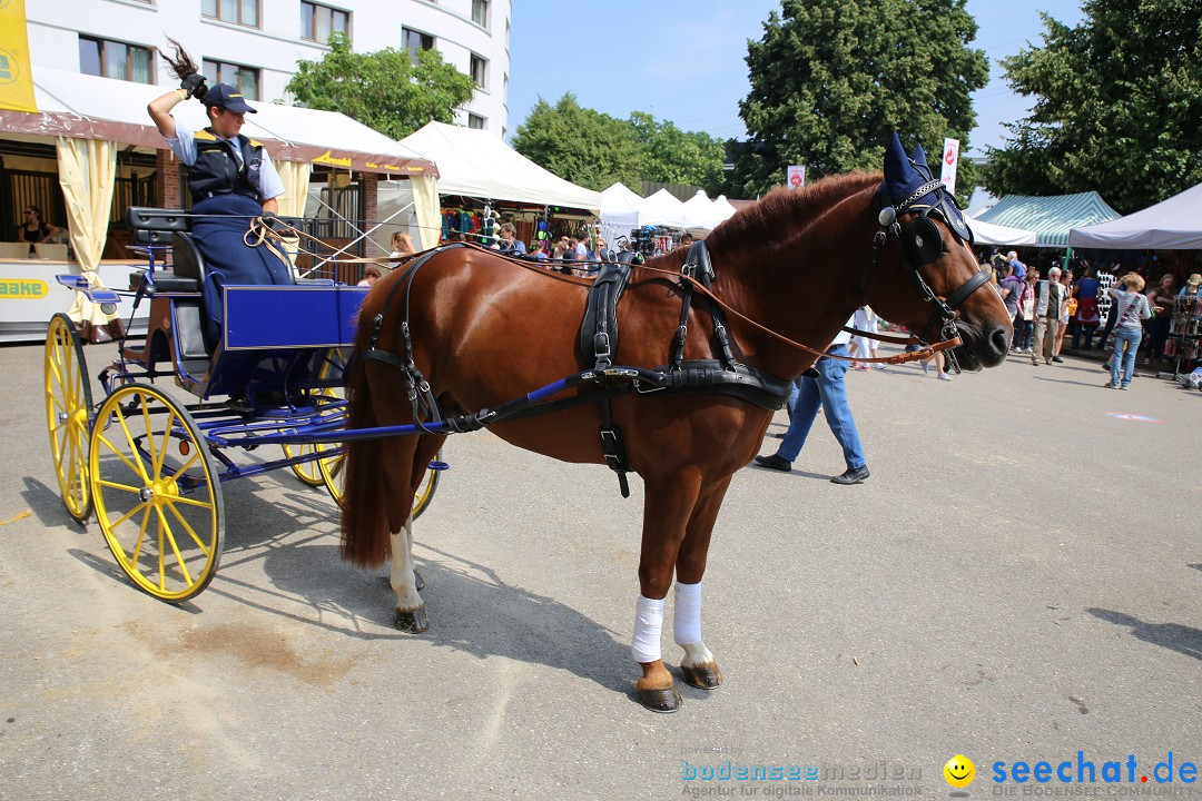 eurocheval - Europamesse des Pferdes - seechat: Offenburg, 27.07.2014