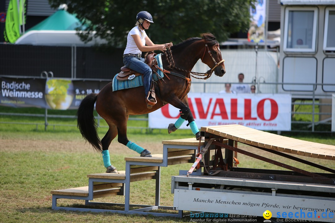 eurocheval - Europamesse des Pferdes - seechat: Offenburg, 27.07.2014