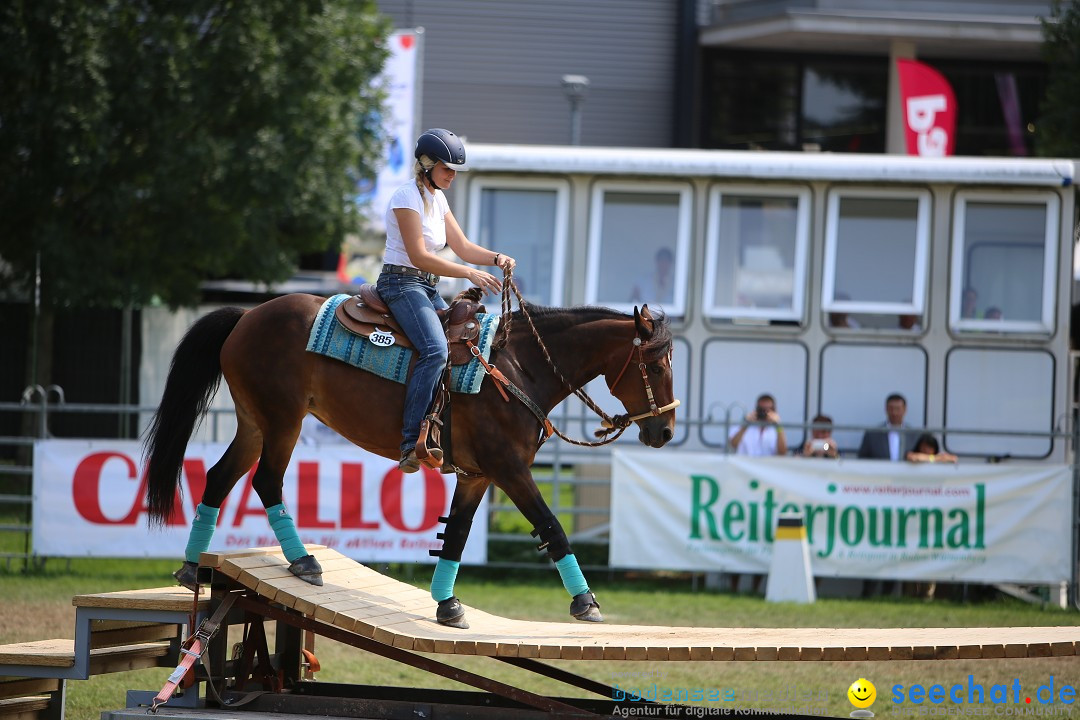 eurocheval - Europamesse des Pferdes - seechat: Offenburg, 27.07.2014