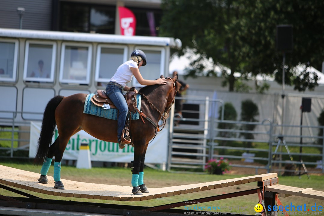 eurocheval - Europamesse des Pferdes - seechat: Offenburg, 27.07.2014