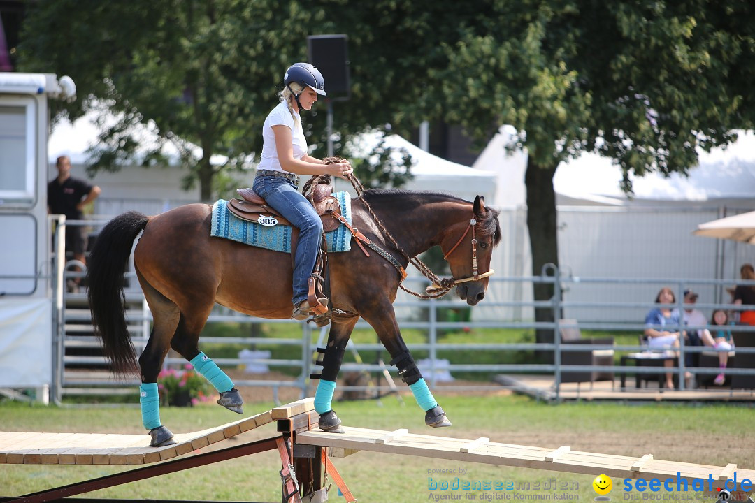 eurocheval - Europamesse des Pferdes - seechat: Offenburg, 27.07.2014