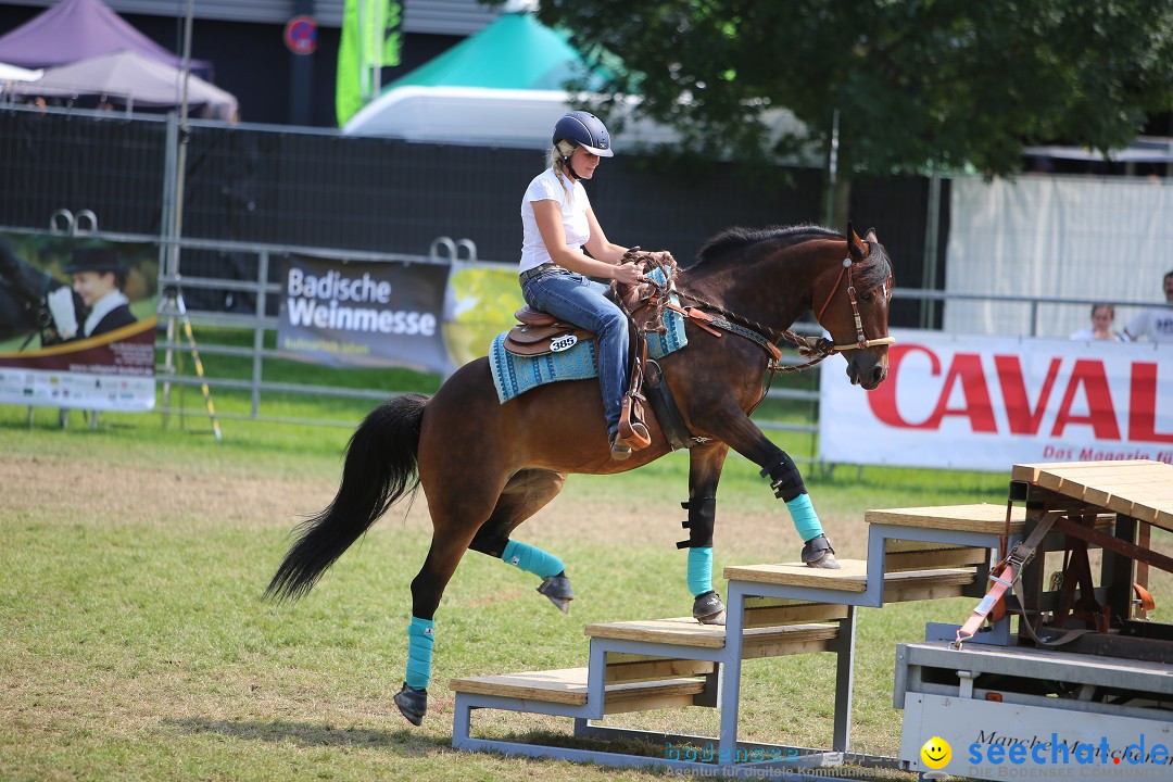 eurocheval - Europamesse des Pferdes - seechat: Offenburg, 27.07.2014