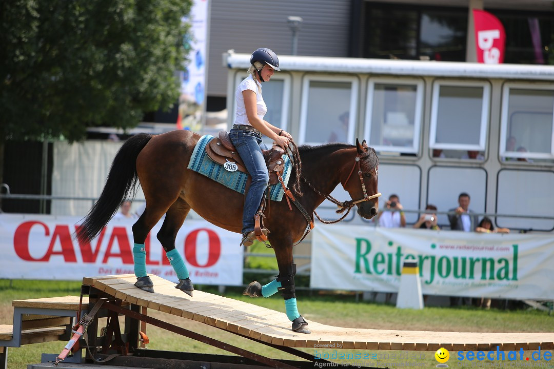 eurocheval - Europamesse des Pferdes - seechat: Offenburg, 27.07.2014