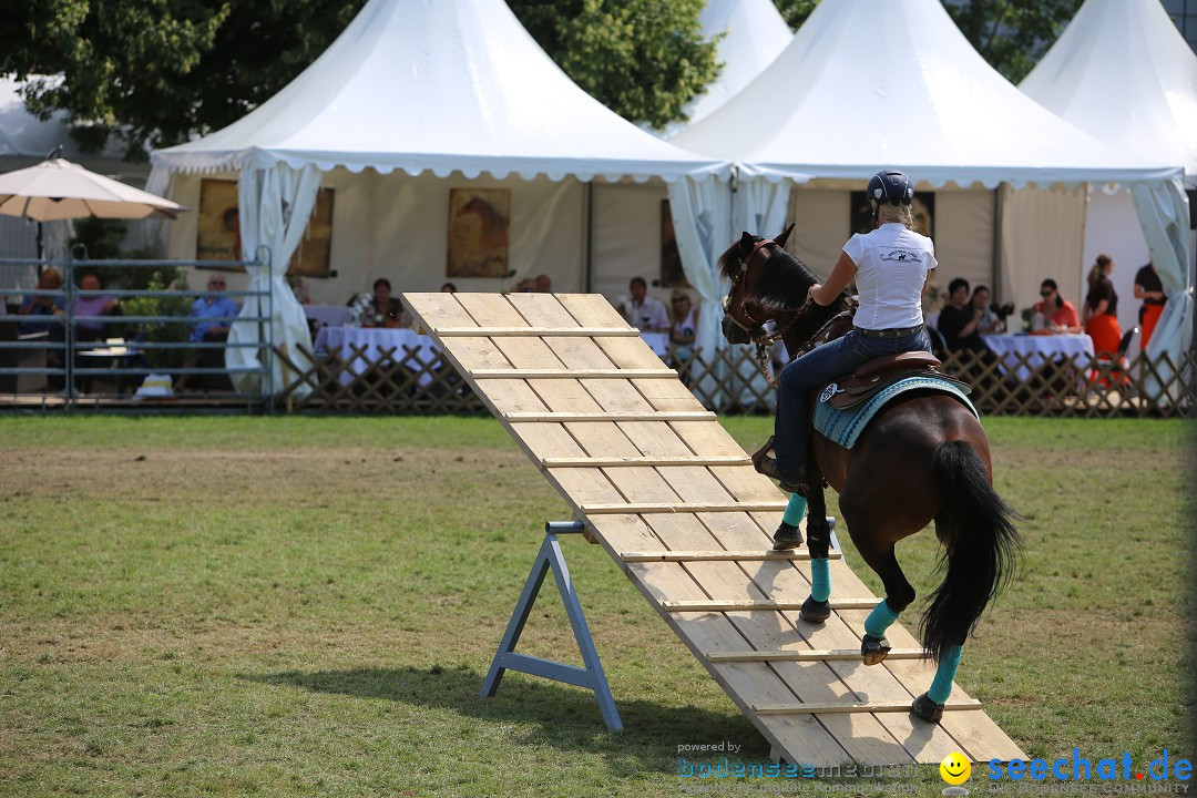 eurocheval - Europamesse des Pferdes - seechat: Offenburg, 27.07.2014