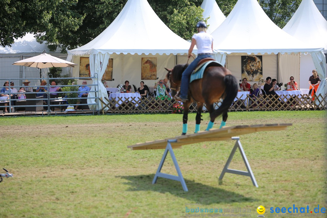 eurocheval - Europamesse des Pferdes - seechat: Offenburg, 27.07.2014