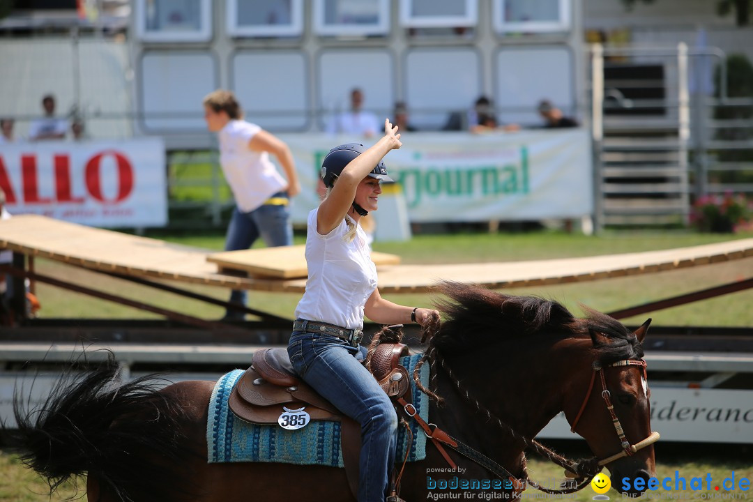 eurocheval - Europamesse des Pferdes - seechat: Offenburg, 27.07.2014