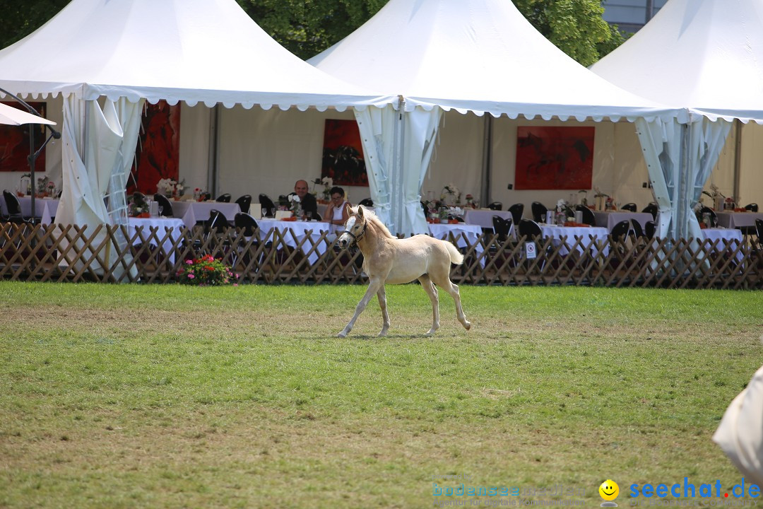 eurocheval - Europamesse des Pferdes - seechat: Offenburg, 27.07.2014