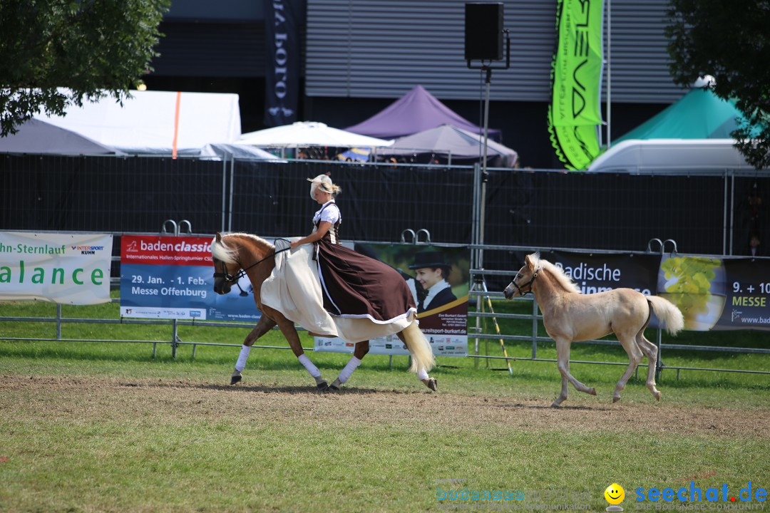 eurocheval - Europamesse des Pferdes - seechat: Offenburg, 27.07.2014