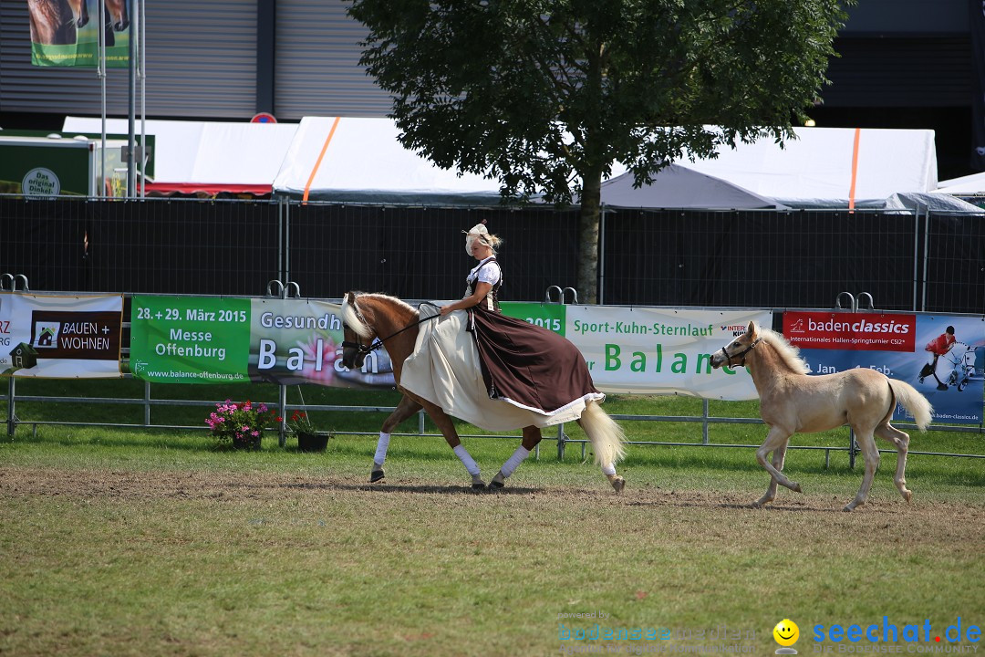 eurocheval - Europamesse des Pferdes - seechat: Offenburg, 27.07.2014