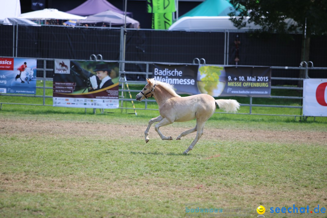 eurocheval - Europamesse des Pferdes - seechat: Offenburg, 27.07.2014