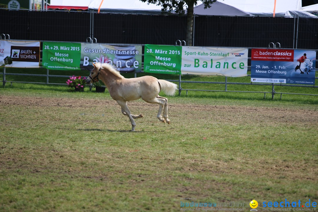 eurocheval - Europamesse des Pferdes - seechat: Offenburg, 27.07.2014