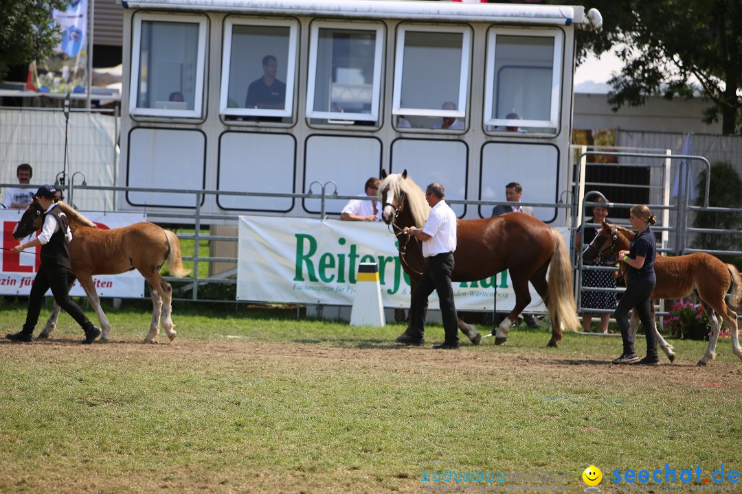 eurocheval - Europamesse des Pferdes - seechat: Offenburg, 27.07.2014