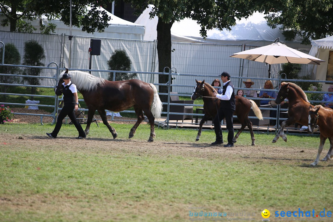 eurocheval - Europamesse des Pferdes - seechat: Offenburg, 27.07.2014