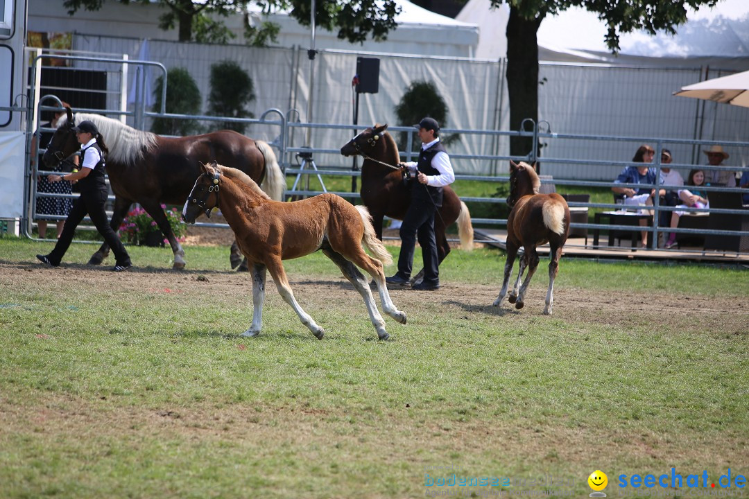 eurocheval - Europamesse des Pferdes - seechat: Offenburg, 27.07.2014