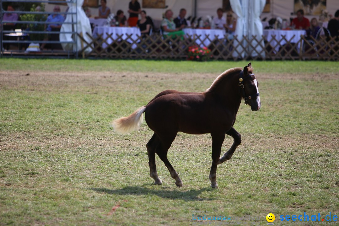 eurocheval - Europamesse des Pferdes - seechat: Offenburg, 27.07.2014