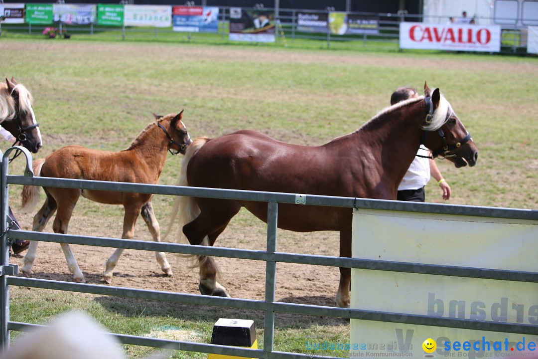 eurocheval - Europamesse des Pferdes - seechat: Offenburg, 27.07.2014