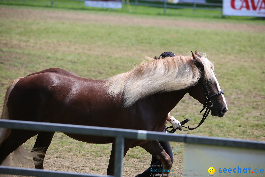 eurocheval - Europamesse des Pferdes - seechat: Offenburg, 27.07.2014