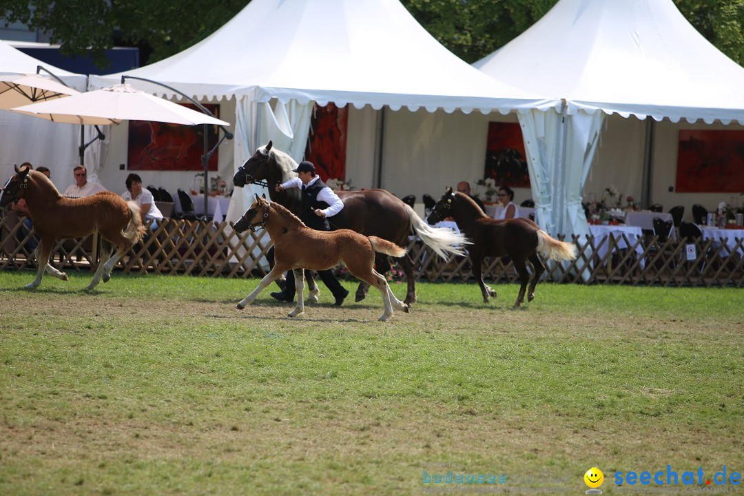 eurocheval - Europamesse des Pferdes - seechat: Offenburg, 27.07.2014