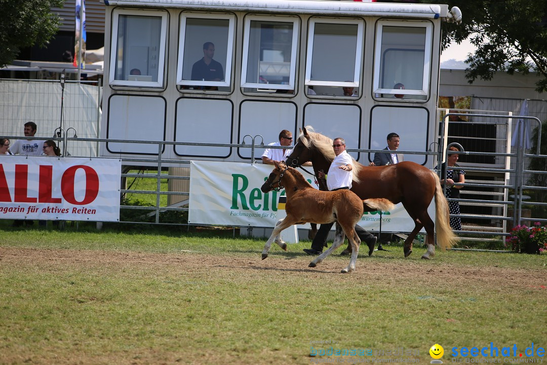 eurocheval - Europamesse des Pferdes - seechat: Offenburg, 27.07.2014