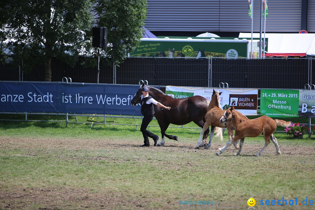 eurocheval - Europamesse des Pferdes - seechat: Offenburg, 27.07.2014