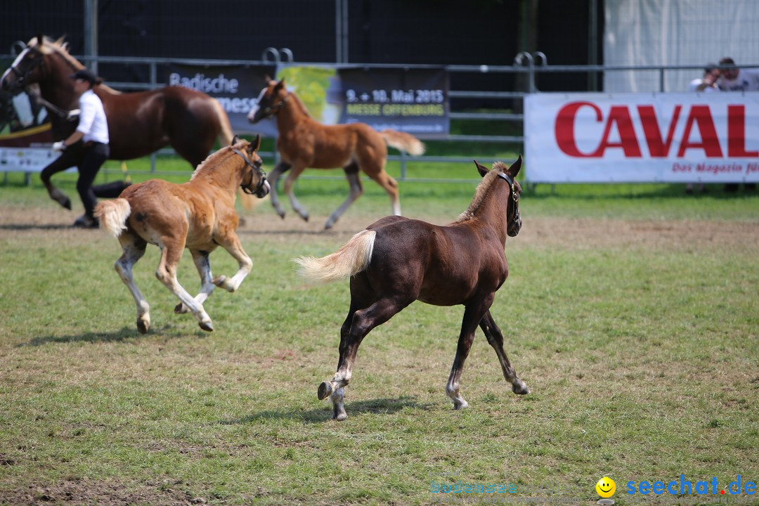 eurocheval - Europamesse des Pferdes - seechat: Offenburg, 27.07.2014