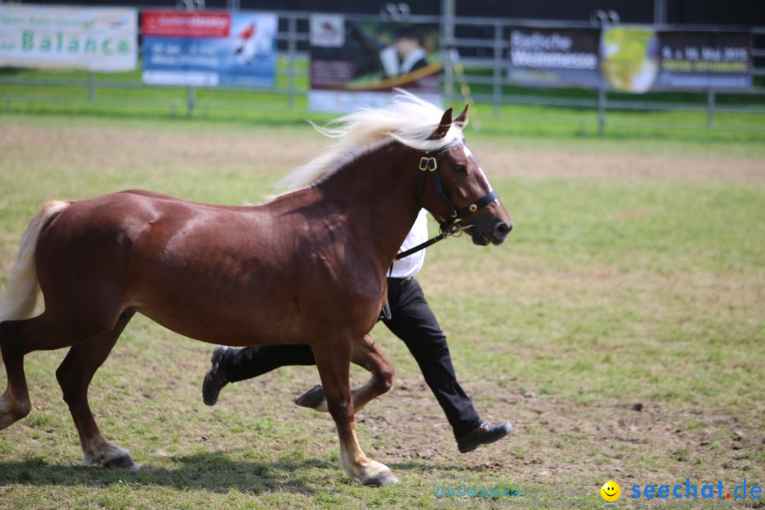 eurocheval - Europamesse des Pferdes - seechat: Offenburg, 27.07.2014