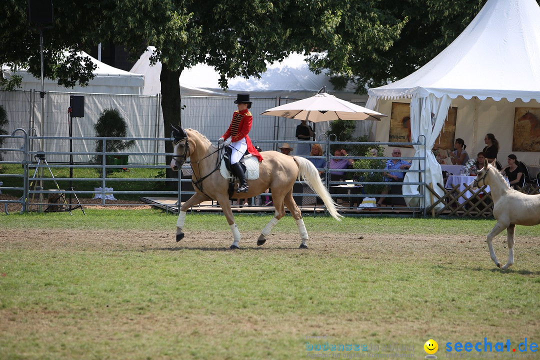 eurocheval - Europamesse des Pferdes - seechat: Offenburg, 27.07.2014